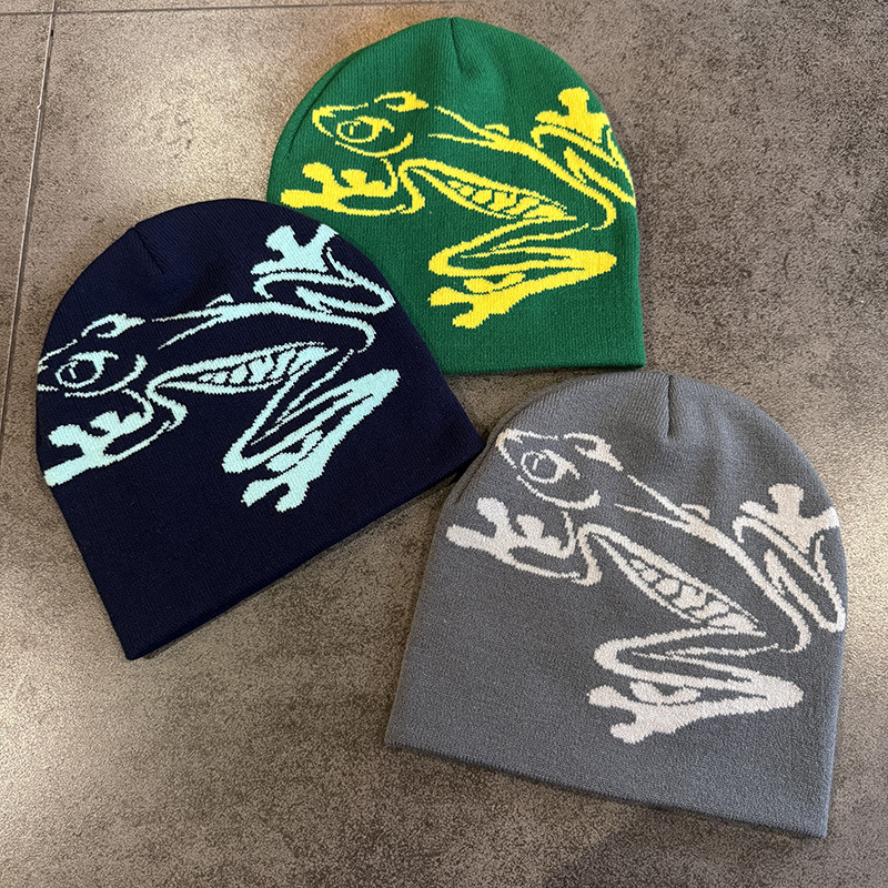 Nieuwe beanie met print van ee - Beanie Cuffed Knit recensie en prijs